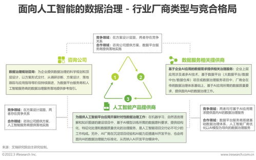 2022年中国面向人工智能的数据治理行业研究报告 数据处理服务篇